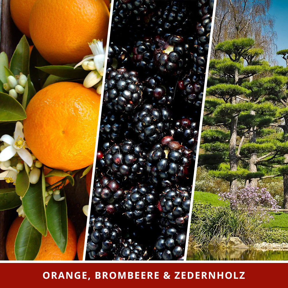 Duftkerze Upside Down mit Überraschungswürfel - Fantasy Scents