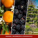 Duftkerze Upside Down mit Überraschungswürfel - Fantasy Scents