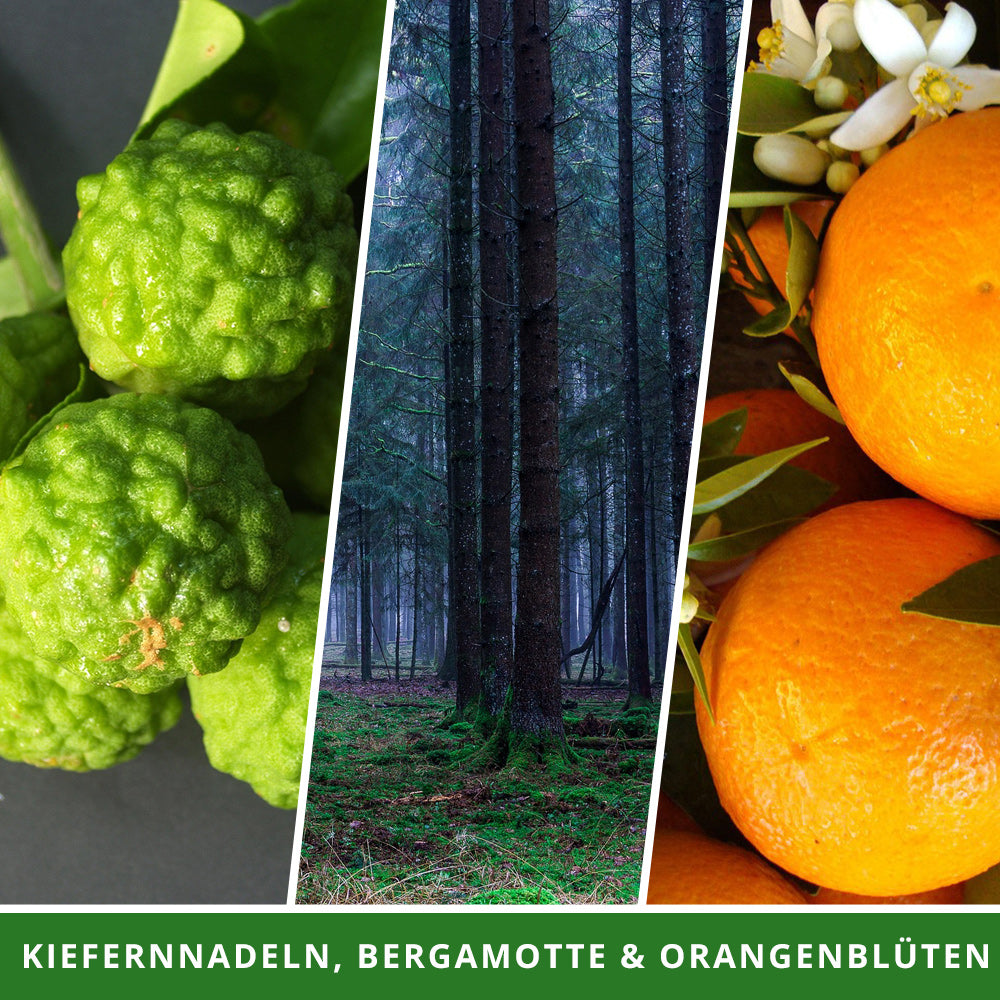 Duftkerze Zauberwald mit Überraschungswürfel