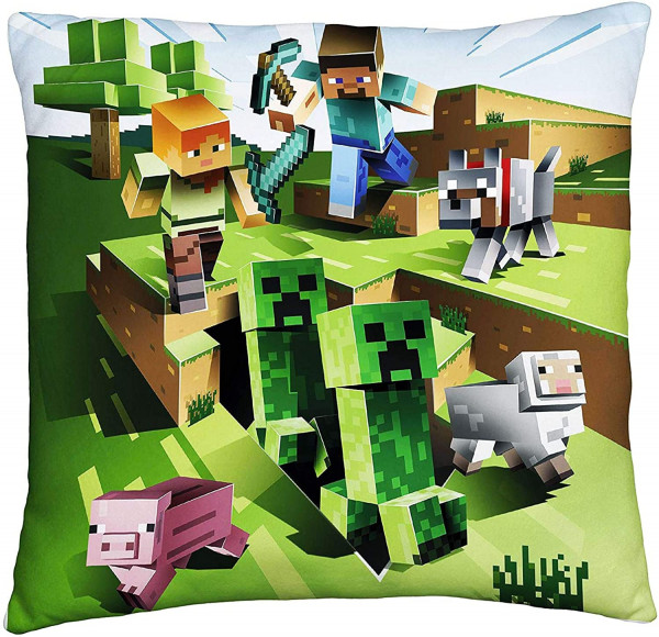 Cooles Minecraft Kissen mit Steve, Alex und ein paar anderen Mobs